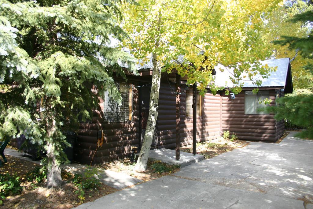 Yellowstone Wildlife Cabins West Yellowstone Luaran gambar