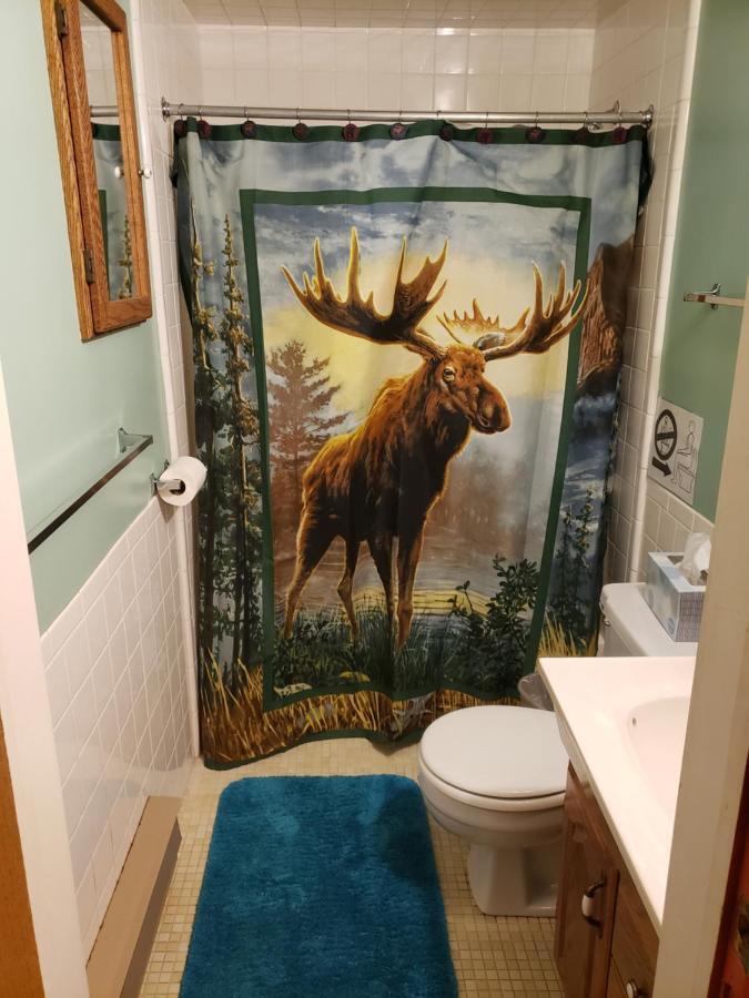 Yellowstone Wildlife Cabins West Yellowstone Luaran gambar